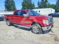 2013 Ford F-150 photo