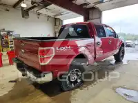 2013 Ford F-150 фото