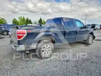 2013 Ford F-150 фото