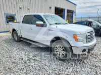 2013 Ford F-150 фото