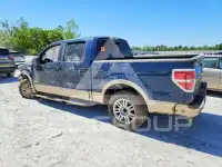 2013 Ford F-150 photo