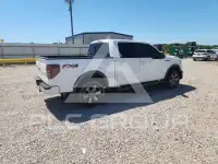 2013 Ford F-150 photo