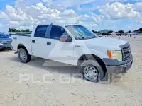 2013 Ford F-150 photo