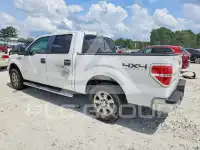 2013 Ford F-150 photo