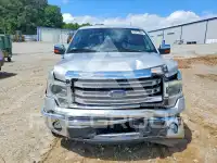 2013 Ford F-150 фото