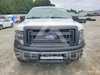 2013 Ford F-150 фото