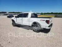 2013 Ford F-150 photo