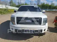 2013 Ford F-150 photo