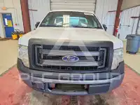 2013 Ford F-150 photo