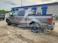 2013 Ford F-150 photo