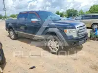 2013 Ford F-150 фото