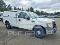 2013 Ford F-150 photo