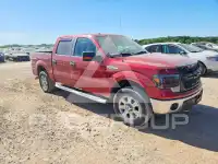 2013 Ford F-150 фото