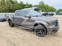 2013 Ford F-150 photo