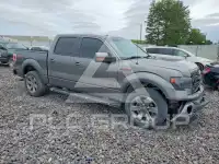 2013 Ford F-150 photo