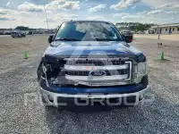 2013 Ford F-150 фото