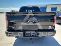 2013 Ford F-150 photo