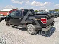 2013 Ford F-150 photo