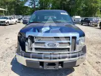 2013 Ford F-150 фото