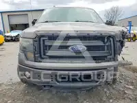 2013 Ford F-150 photo