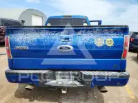 2013 Ford F-150 фото