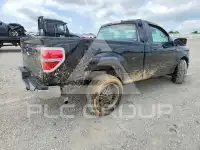 2013 Ford F-150 photo