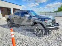2013 Ford F-150 фото