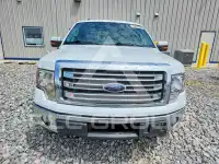 2013 Ford F-150 фото
