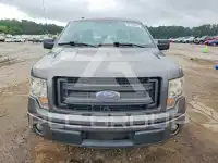 2013 Ford F-150 photo