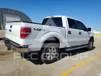 2013 Ford F-150 photo