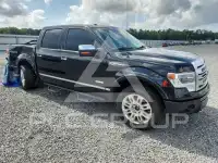 2013 Ford F-150 фото