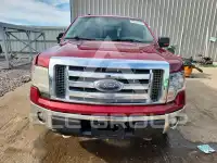2013 Ford F-150 фото