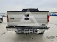 2013 Ford F-150 photo