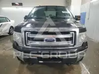 2013 Ford F-150 photo