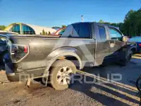 2013 Ford F-150 photo