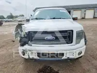 2013 Ford F-150 photo