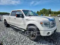 2013 Ford F-150 photo