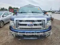 2013 Ford F-150 фото
