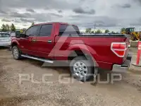 2013 Ford F-150 photo