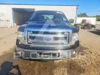 2013 Ford F-150 photo
