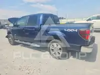 2013 Ford F-150 фото