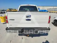 2013 Ford F-150 photo
