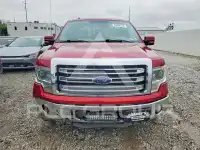 2013 Ford F-150 photo