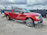 2013 Ford F-150 фото