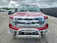 2013 Ford F-150 фото