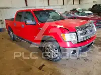 2013 Ford F-150 photo