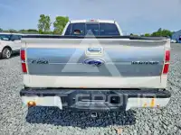 2013 Ford F-150 photo
