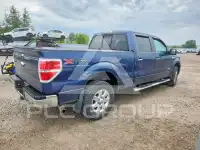 2013 Ford F-150 фото