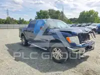 2013 Ford F-150 фото