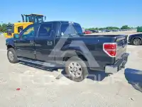 2013 Ford F-150 photo